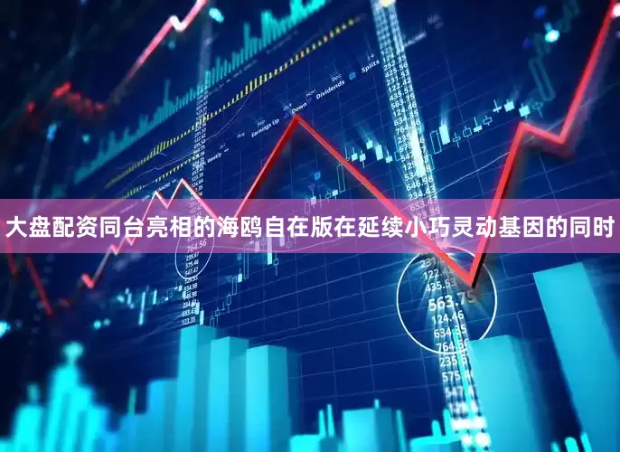 大盘配资同台亮相的海鸥自在版在延续小巧灵动基因的同时