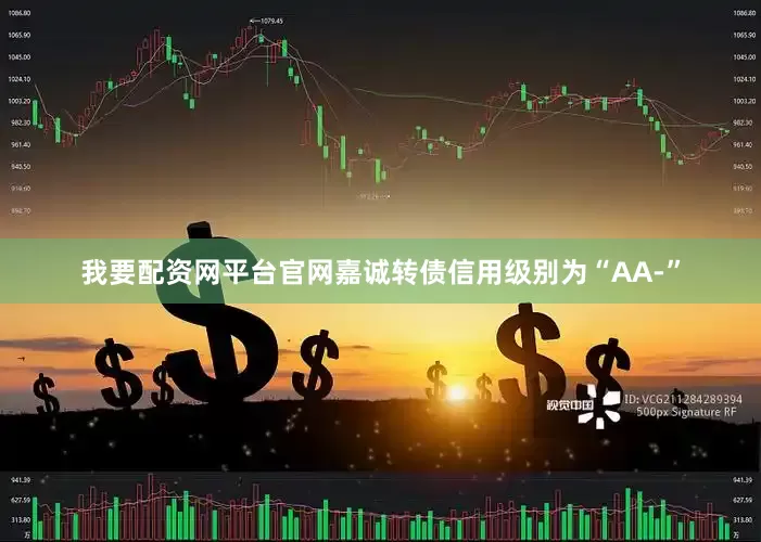 我要配资网平台官网嘉诚转债信用级别为“AA-”