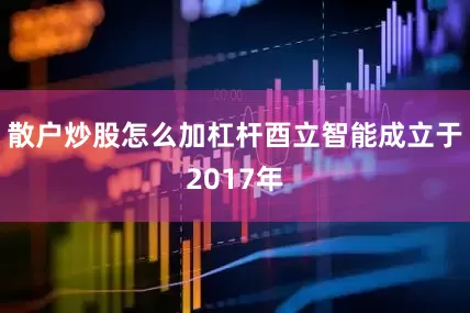 散户炒股怎么加杠杆酉立智能成立于2017年