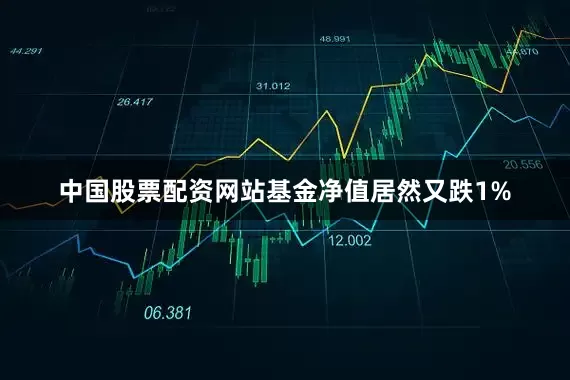 中国股票配资网站基金净值居然又跌1%